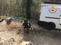 Die Feuerwehr sichert das Fahrzeug